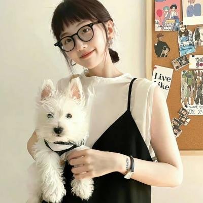 案中案